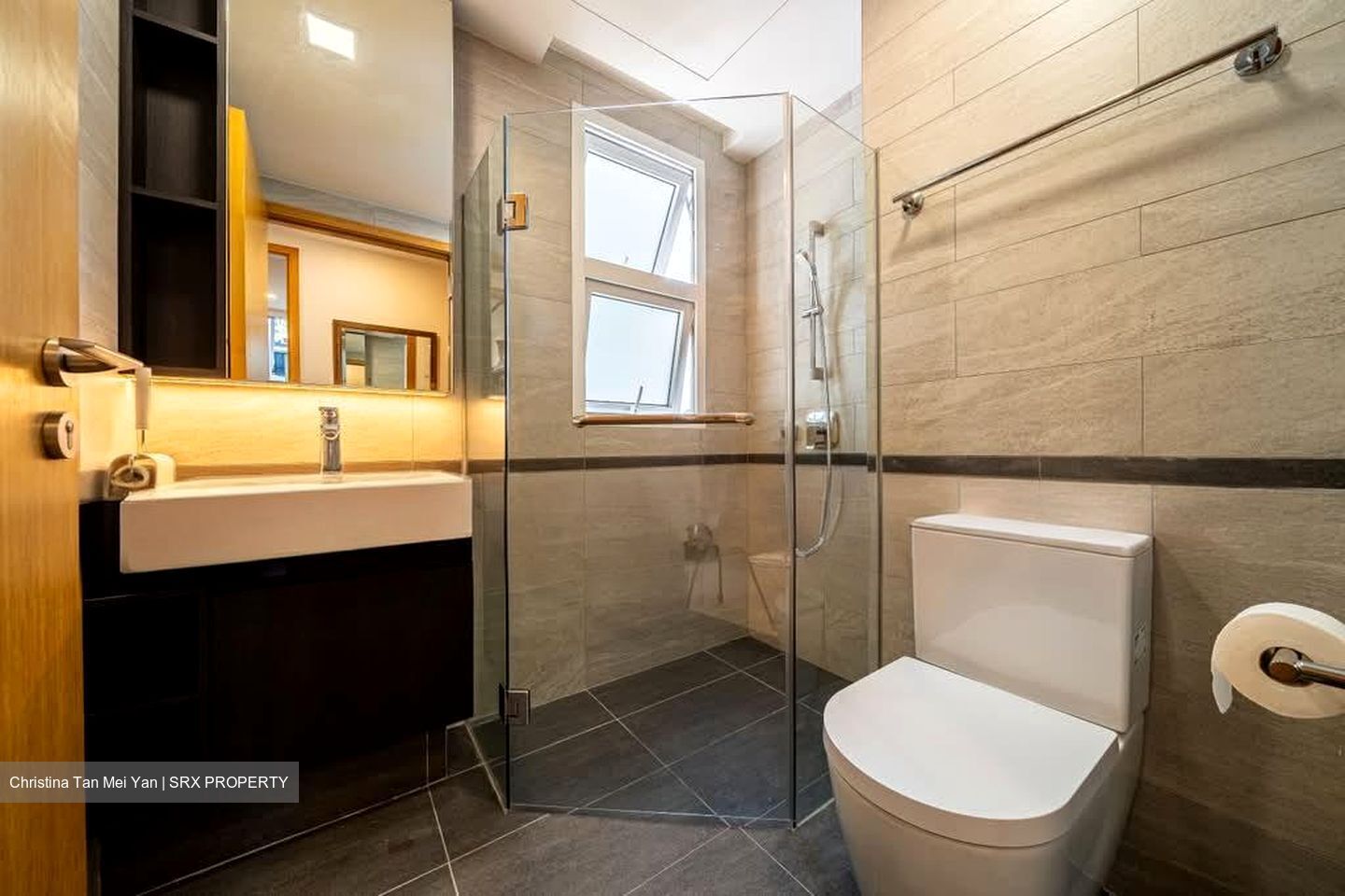 Jervois Treasures (D10), Apartment #609522001